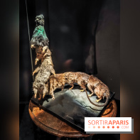 Paris est pataphysique, l'exposition étonnante de Philippe Starck au musée Carnavalet - photos - IMG20230328101625