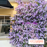 La Vallée Village - 632CCB62 18A2 4184 809C A3844C7CA142