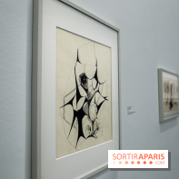Anna-Eva Bergman, nos photos de l'expo à Paris