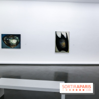 Anna-Eva Bergman, nos photos de l'expo à Paris