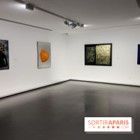 Anna-Eva Bergman, nos photos de l'expo à Paris