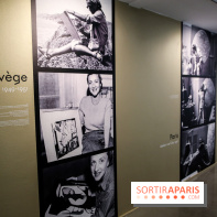 Anna-Eva Bergman, nos photos de l'expo à Paris