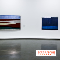 Anna-Eva Bergman, nos photos de l'expo à Paris