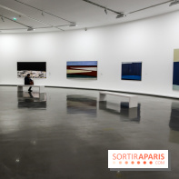 Anna-Eva Bergman, nos photos de l'expo à Paris