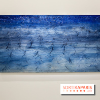 Anna-Eva Bergman, nos photos de l'expo à Paris