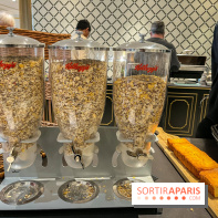 Dream Castle Hôtel, le 4**** familial à côté de Disneyland - BC05B055 38B4 4CF7 B189 918DB078F578