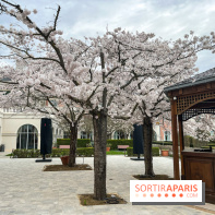 Dream Castle Hôtel, le 4**** familial à côté de Disneyland - A7C6F793 42AD 49DD A086 A805320B08E8