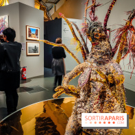 Songlines, l'exposition du musée du Quai Branly qui nous plonge dans les légendes australiennes  - IMG20230403103619