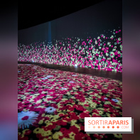 Songlines, l'exposition du musée du Quai Branly qui nous plonge dans les légendes australiennes  - IMG20230403101241