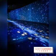 Songlines, l'exposition du musée du Quai Branly qui nous plonge dans les légendes australiennes  - IMG20230403101305