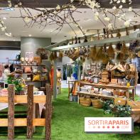 Partie de Campagne au BHV - image00015