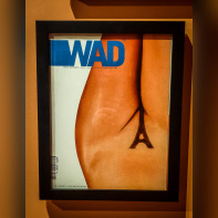 Des cheveux et des poils, l'exposition poilante du musée des Arts décoratifs - nos photos - IMG20230405113159