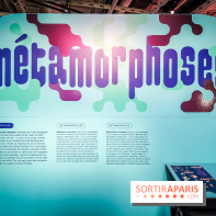 Métamorphoses, l'exposition poétique à découvrir à la Cité des Sciences et de l'Industrie