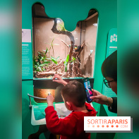 Métamorphoses, l'exposition poétique à découvrir à la Cité des Sciences et de l'Industrie