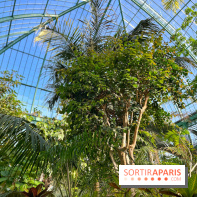 Le Jardin des Serres d'Auteuil - IMG 1550