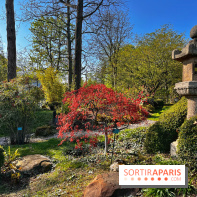 Le Jardin des Serres d'Auteuil - IMG 1556