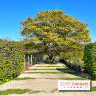 Le Jardin des Serres d'Auteuil