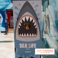 Aquarium Sea Life