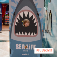 Aquarium Sea Life
