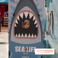 Aquarium Sea Life - IMG 8408