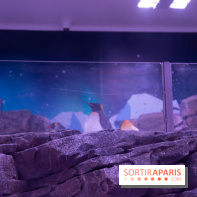 Aquarium Sea Life - IMG 8391