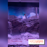 Aquarium Sea Life - IMG 8392