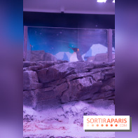 Aquarium Sea Life - IMG 8393