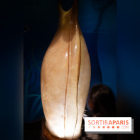 Aquarium Sea Life - IMG 8382