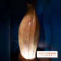 Aquarium Sea Life - IMG 8384