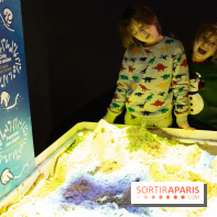 Aquarium Sea Life - IMG 8372