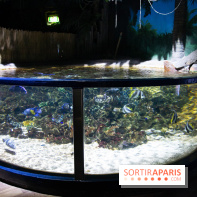 Aquarium Sea Life - IMG 8374