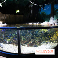 Aquarium Sea Life - IMG 8375