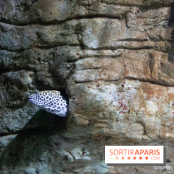 Aquarium Sea Life - IMG 8377