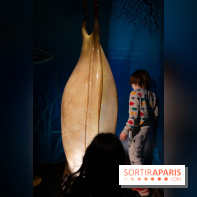 Aquarium Sea Life - IMG 8379