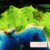 Aquarium Sea Life - IMG 8367