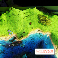 Aquarium Sea Life