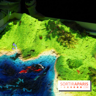 Aquarium Sea Life - IMG 8369