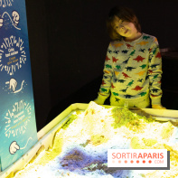 Aquarium Sea Life - IMG 8370