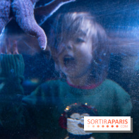 Aquarium Sea Life - IMG 8341