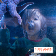 Aquarium Sea Life - IMG 8343