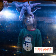 Aquarium Sea Life - IMG 8335