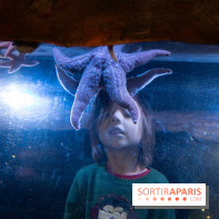 Aquarium Sea Life - IMG 8337