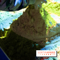 Aquarium Sea Life - IMG 8305