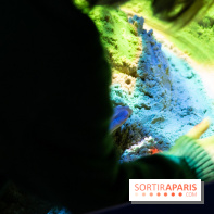 Aquarium Sea Life - IMG 8302