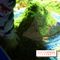 Aquarium Sea Life - IMG 8304