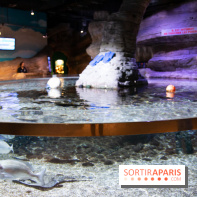 Aquarium Sea Life - IMG 8290