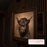 Château et atelier Rosa Bonheur à Thomery - photos -  A7C8085