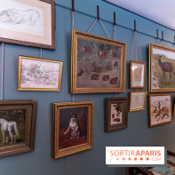 Château et atelier Rosa Bonheur à Thomery - photos -  A7C8090