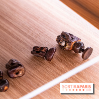 Château et atelier Rosa Bonheur à Thomery - photos -  A7C8097