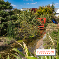 Square Médéric Colombes - jardin japonais 92 -  A7C9938